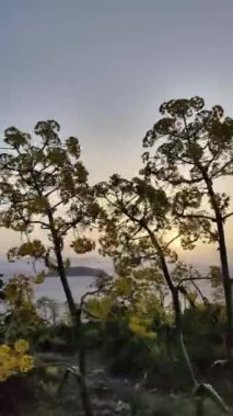 Denizin üzerinde gün batımı. Gumusluk, bodrum, hindi. sosyal medya için dikey video.