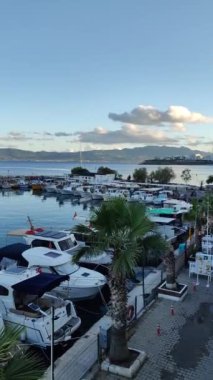 Bodrum, Hindi. 20 Nisan 2024: Dünyaca ünlü sahil kasabası Bodrum 'daki limanda tekneler bekliyor. Sosyal medya için dikey video. 