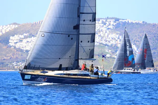 Bodrum, Hindi. 24 Şubat 2024: Ege Denizi 'nin mavi sularında, ünlü tatil beldesi Bodrum' un kıyılarında yelkenliler rüzgarlı havada yelken açıyor.