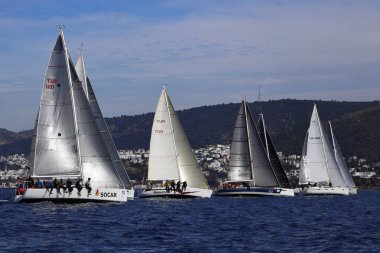 Bodrum, Hindi. 25 Şubat 2024: Ege Denizi 'nin mavi sularında, ünlü tatil beldesi Bodrum' un kıyılarında, rüzgarlı havada yelkenliler yelken açıyor.