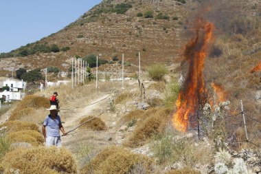 Bodrum, Hindi. 01 Ağustos 2020: Çimen tarlalarında, ormanlarda ve gökyüzüne siyah beyaz dumanlar saçan kırmızı ateş alevi. Yakından büyük bir yangın var. Hava konseptinde kirlilik.