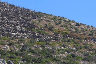 Bodrum, Hindi. 27 Temmuz 2017: Çimen tarlalarında, ormanlarda ve gökyüzüne doğru siyah beyaz dumanlar saçan kırmızı ateş alevi. Yakından büyük bir yangın var. Hava konseptinde kirlilik.