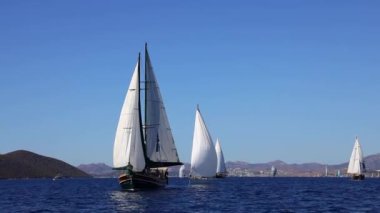 Bodrum, Türkiye, 22 Ekim 2024: Bodrum Yelkenli Kupası, Gulet Tahta Yelkenli ve yelkenli yarışı.