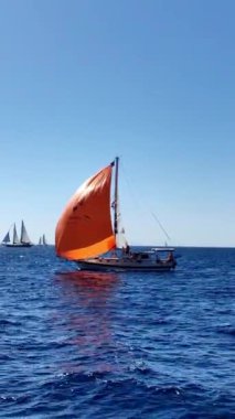Bodrum, Türkiye, 24 Ekim 2024: Bodrum Yelkenli Kupası, Gulet Tahta Yelkenli Tekneleri ve yelkenli yarışı. sosyal medya için dikey video. 