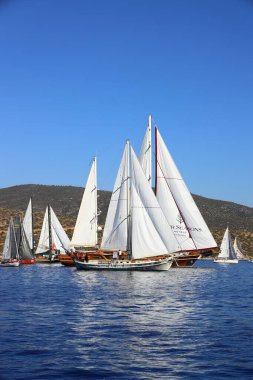 Bodrum, Türkiye, 22 Ekim 2024: Bodrum Yelkenli Kupası, Gulet Tahta Yelkenli ve yelkenli yarışı.