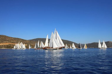 Bodrum, Türkiye, 22 Ekim 2024: Bodrum Yelkenli Kupası, Gulet Tahta Yelkenli ve yelkenli yarışı.