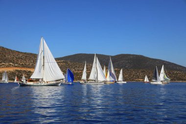 Bodrum, Türkiye, 22 Ekim 2024: Bodrum Yelkenli Kupası, Gulet Tahta Yelkenli ve yelkenli yarışı.