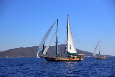 Bodrum, Türkiye, 22 Ekim 2024: Bodrum Yelkenli Kupası, Gulet Tahta Yelkenli ve yelkenli yarışı.