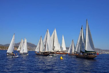 Bodrum, Türkiye, 22 Ekim 2024: Bodrum Yelkenli Kupası, Gulet Tahta Yelkenli ve yelkenli yarışı.