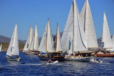 Bodrum, Türkiye, 22 Ekim 2024: Bodrum Yelkenli Kupası, Gulet Tahta Yelkenli ve yelkenli yarışı.