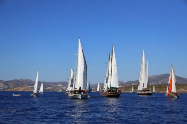 Bodrum, Türkiye, 22 Ekim 2024: Bodrum Yelkenli Kupası, Gulet Tahta Yelkenli ve yelkenli yarışı.