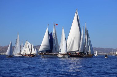 Bodrum, Türkiye, 22 Ekim 2024: Bodrum Yelkenli Kupası, Gulet Tahta Yelkenli ve yelkenli yarışı.