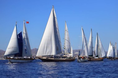 Bodrum, Türkiye, 22 Ekim 2024: Bodrum Yelkenli Kupası, Gulet Tahta Yelkenli ve yelkenli yarışı.