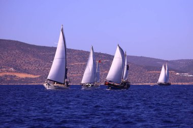 Bodrum, Türkiye, 22 Ekim 2024: Bodrum Yelkenli Kupası, Gulet Tahta Yelkenli ve yelkenli yarışı.