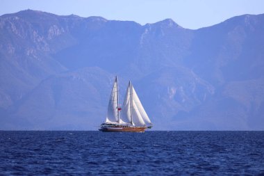 Bodrum, Türkiye, 22 Ekim 2024: Bodrum Yelkenli Kupası, Gulet Tahta Yelkenli ve yelkenli yarışı.
