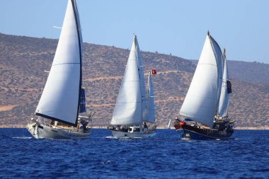 Bodrum, Türkiye, 22 Ekim 2024: Bodrum Yelkenli Kupası, Gulet Tahta Yelkenli ve yelkenli yarışı.