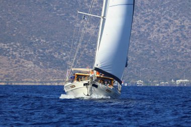 Bodrum, Türkiye, 22 Ekim 2024: Bodrum Yelkenli Kupası, Gulet Tahta Yelkenli ve yelkenli yarışı.