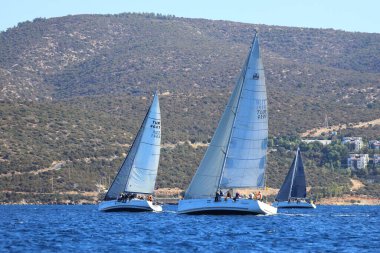 Bodrum, Hindi. 19 Ekim 2024: Yelkenliler Ege Denizi 'nin mavi sularında, ünlü tatil beldesi Bodrum' un kıyılarında rüzgarlı havada yelken açıyorlar..