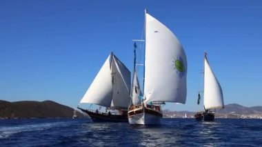 Bodrum, Türkiye, 24 Ekim 2024: Bodrum Yelkenli Kupası, Gulet Tahta Yelkenli ve yelkenli yarışı.