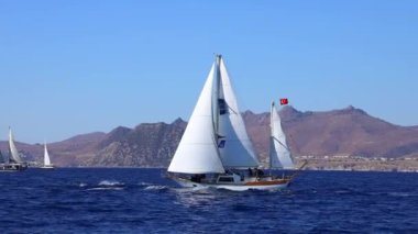 Bodrum, Türkiye, 24 Ekim 2024: Bodrum Yelkenli Kupası, Gulet Tahta Yelkenli ve yelkenli yarışı.