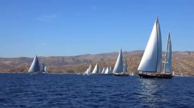 Bodrum, Türkiye, 24 Ekim 2024: Bodrum Yelkenli Kupası, Gulet Tahta Yelkenli ve yelkenli yarışı.