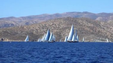 Bodrum, Türkiye, 24 Ekim 2024: Bodrum Yelkenli Kupası, Gulet Tahta Yelkenli ve yelkenli yarışı.