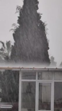 Rüzgâr fırtınası. sosyal medya için dikey video. 