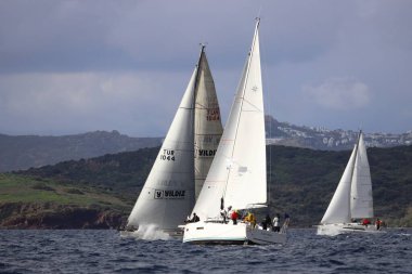 Bodrum, Hindi. 11 Ocak 2025: Yelkenliler Ege Denizi 'nin mavi sularında, ünlü tatil beldesi Bodrum' un kıyılarında rüzgarlı havada yelken açıyorlar..