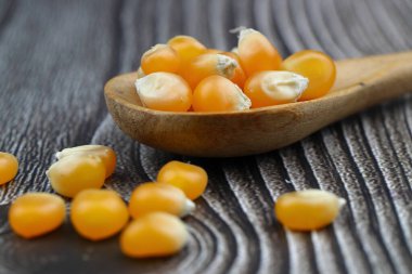 Patlamış mısır için mısır tohumları koyu kırsal arka planda izole edilmiş. Boşluğu kopyala