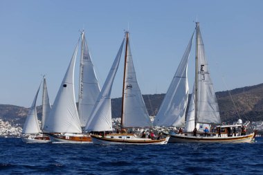 Bodrum, Türkiye, 08 Şubat 2025: Geleneksel Türk teknesi veya Gulet denizde seyrediyor. Ege 'nin Bodrum plajı yakınlarındaki turistik yelkenli tekneleri. Bodrum 