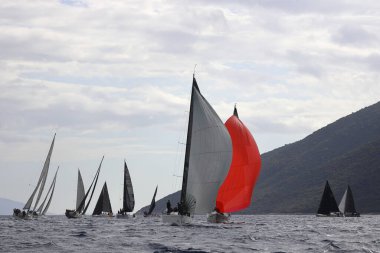Bodrum, Hindi. 12 Ocak 2025: Yelkenliler Ege Denizi 'nin mavi sularında, ünlü tatil beldesi Bodrum' un kıyılarında rüzgarlı havada yelken açıyorlar..