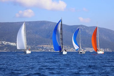 Bodrum, Hindi. 02 Şubat 2025: Ege Denizi 'nin mavi sularında, ünlü tatil beldesi Bodrum' un kıyılarında yelkenliler rüzgarlı havada yelken açıyor.