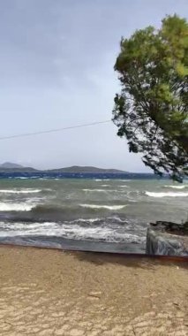 Dalgalar denizde ve ağaçlar fırtınalı havada kıyıda. Sosyal medya için dikey video