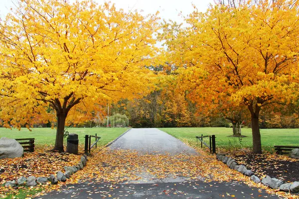 Toegang Tot Een Prachtig Openbaar Park Tuinen Canada Kleurrijke Esdoornbomen Rechtenvrije Stockafbeeldingen