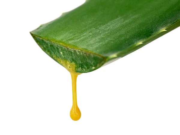 Freshly Sliced Aloe Vera Leaf Yellow Aloin Drop Isolated White — Stock Photo, Image