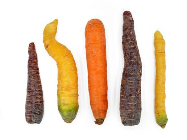 Farklı boyutlarda ve şekillerde sarı, mor ve turuncu havuçlar, beyaz arka planda izole edilmiş alışılmadık şekilde büyümüş renkli havuçlar..