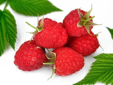 Beyaz arka planda izole edilmiş yapraklar arasında taze ahududular, doğal görünümlü ahudududulara yakın..