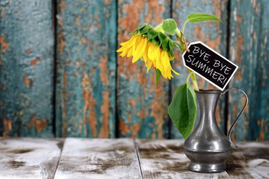 Sunflower in vintage metal vase lowers its head with a wooden sign saying Bye Bye Summer, isolated on color wooden background, end of summer concept, flower symbolizes sad mood. clipart