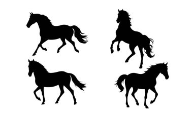 Beyaz arka planda atların siluetleri, koşuyorlar, zıplıyorlar, yükseltiyorlar. Siyah at siluetlerinin vektör çizimi