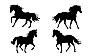 Beyaz arka planda atların siluetleri, koşuyorlar, zıplıyorlar, yükseltiyorlar. Siyah at siluetlerinin vektör çizimi