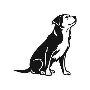 Anlamlı bakışlı bir köpeğin detaylı görüntüsü. Markalaşma, logo ve tasarım için uygun. Köpek logosu, hayvan amblemi, köpek resmi, köpek portresi, bekçi köpeği.