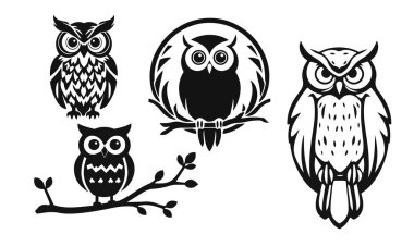 Baykuş logosu. Ayrıntılı çizim, katı görünüm, bilgeliğin sembolü, zeka, koruma, markalaşma ve tasarım için uygun. Baykuş logosu, kabile baykuşu, taşıyıcı baykuş, baykuş amblemi
