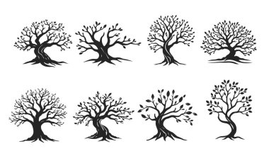 Vektör ağaç siluetleri koleksiyonu, doğa sembolü, ekolojik logo, orman amblemi