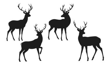 Geyik siluetleri, vahşi hayvanlar vektör çizimleri, geyik koleksiyonu.