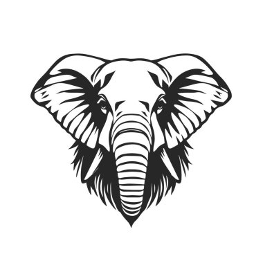 Fil kafası silueti, izole vektör çizimi, vahşi hayvan grafik tasarımı