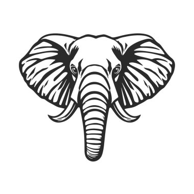 Fil kafası silueti, izole vektör çizimi, vahşi hayvan grafik tasarımı