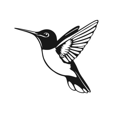 Sinekkuşu vektör sanatı, uçan kuş silueti, tropikal kuş tasarımı, vahşi doğa ikonu, egzotik hayvan çizimi