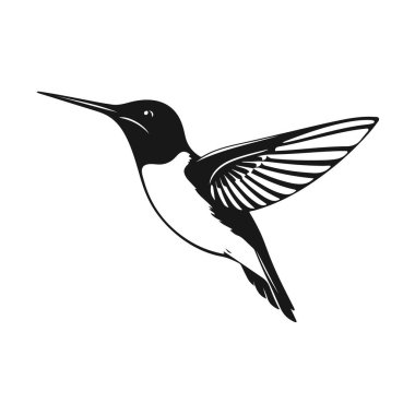 Sinekkuşu vektör sanatı, uçan kuş silueti, tropikal kuş tasarımı, vahşi doğa ikonu, egzotik hayvan çizimi
