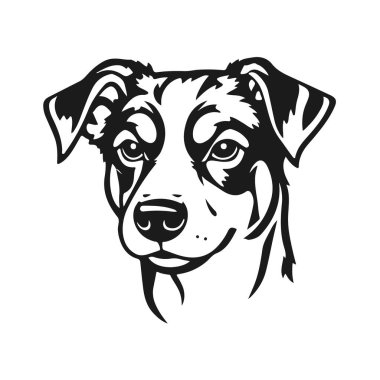 Köpek yüzü ikonu, hayvan kafası logosu, çizgi film köpek portresi, köpek yüz tasarımı, köpek vektör çizimi