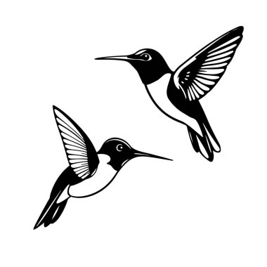 Sinekkuşu vektör sanatı, uçan kuş silueti, tropikal kuş tasarımı, vahşi doğa ikonu, egzotik hayvan çizimi